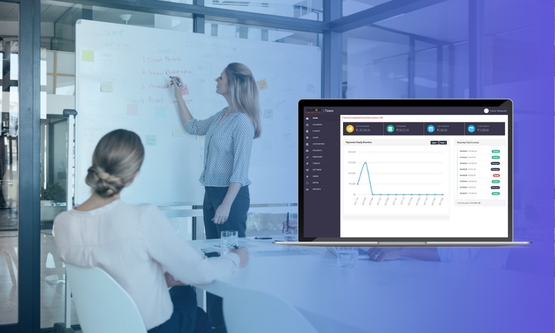 Development of a Project Management System for IPRAM