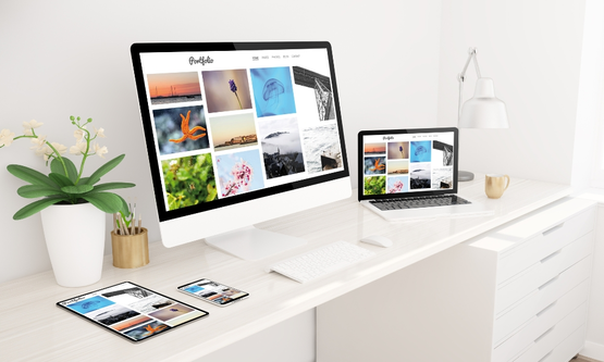 Development of a Smart Portfolio Management System for Netscribes